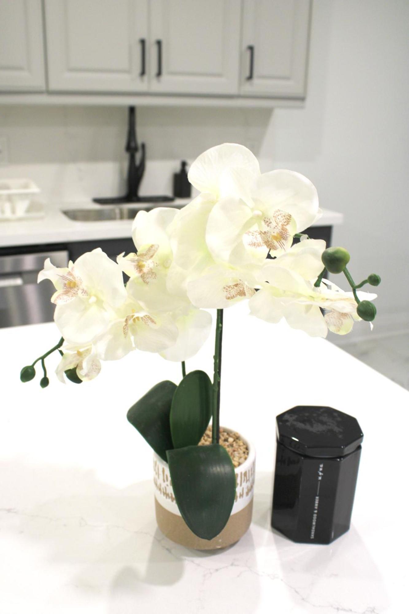 NewcastleUrban Haven: 2Br/2Ba+Office, Kitchen, Diningアパートメント エクステリア 写真